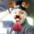 Christian Ayala's profile image