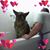 Marcia Bagnall's profile image