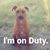 David Andrews's profile image