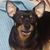 Cecilia Foust's profile image
