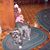 Linda DeSantis Bosworth's profile image
