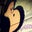 Paty's profile image