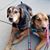 Kathy Groh Canby's profile image