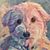 Wendy Osborne's profile image