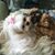Sandy Bond's profile image