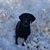 Angela Hastings Piry's profile image