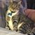 Rainman Saladar's profile image