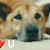 Holly B. Reeves's profile image