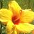 Janese Cerklewich's profile image