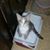 Brenda Ward's profile image