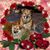 Carolyn Starcher's profile image