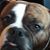 Carrie Rausch's profile image
