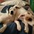 Rita Rosenberger's profile image