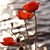 Joy Sunram's profile image