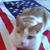 Deborah Patrick's profile image