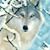 Terri Wheeler's profile image