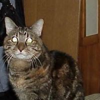 Laura Moore's profile image