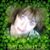 Debra Pomon-Perusse's profile image