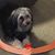 Carolyn Garbacz's profile image