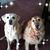Sharon Eggers Garbacz's profile image