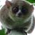 Carlos De La Cruz's profile image