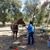Gina Adonay Moran's profile image