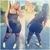 Parriss Lovee's profile image