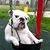 Jim S-Cathy Mutnansky's profile image