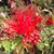 Teri Arnott's profile image