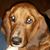 Mark Mullikin's profile image