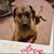 Jewels Fotorny Riedy's profile image
