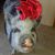 Pamela Romoser's profile image