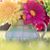 Lacey Ardery's profile image