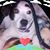 Cindy Osburn's profile image