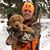 Annika Olson's profile image