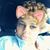 Chrystina Mccloud's profile image