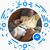 Scott Reid's profile image