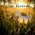Debby Tappan's profile image