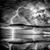Mike Rodden's profile image