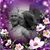 Michelle Ploessl's profile image