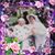 Lindy Newkirk's profile image