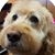 Denise Bosar's profile image