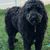 Sandy Callahan Bernath's profile image