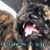 Edward Luis Arreola's profile image