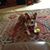 Ruth Rohrbach's profile image