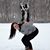 Bria Schimsa's profile image