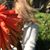 Faith Proaps's profile image