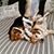 Sandra Cohlmeyer Smith's profile image
