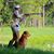 Stephanie Critch's profile image