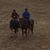 Nanci Riehl's profile image
